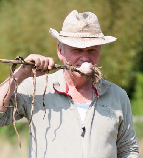 Hat sich in seiner zweiten Karriere dem Knoblauch verschrieben: Erwin Weßling. Hat sich in seiner zweiten Karriere dem Knoblauch verschrieben: Erwin Weßling.